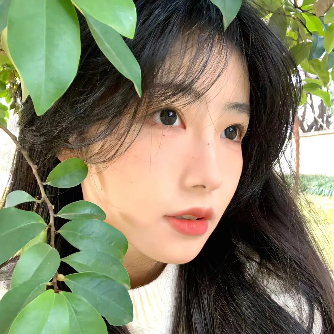 自由之声